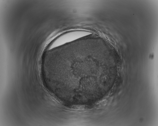 X0000097960295200804071038