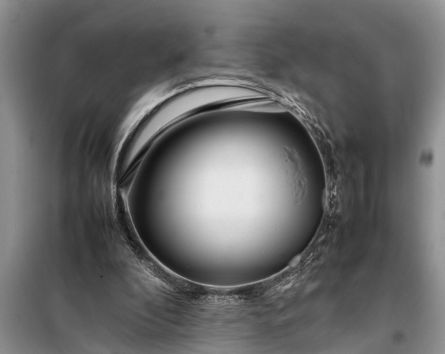 X0000097960296200804071038