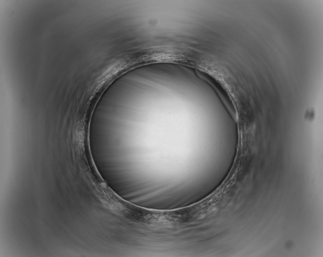 X0000097960297200804071038