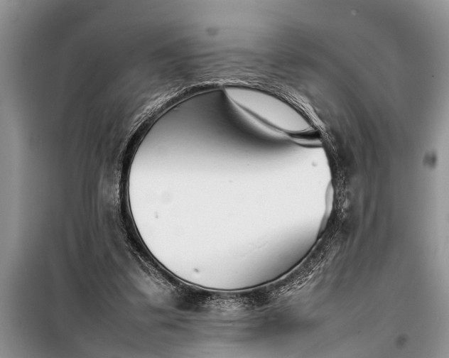 X0000097960299200804071038