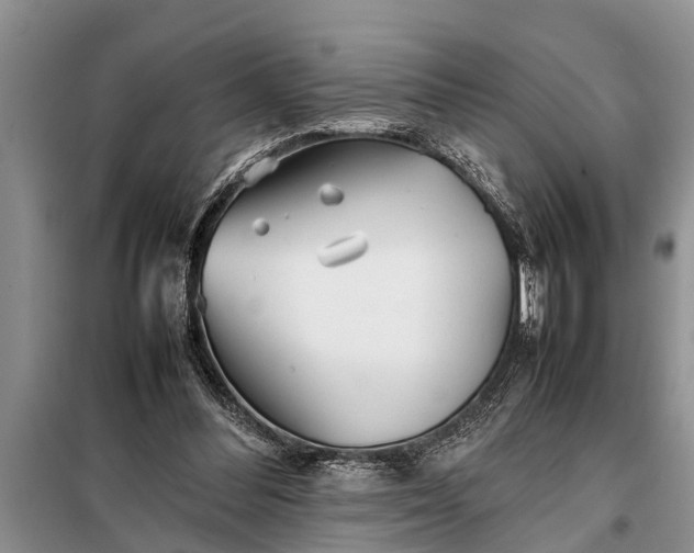 X0000097960300200804071038
