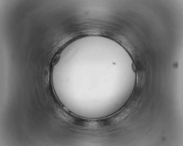 X0000097960301200804071038