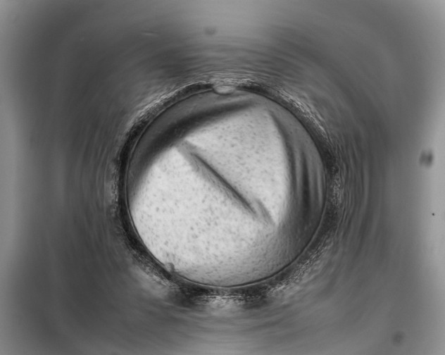 X0000097960303200804071038