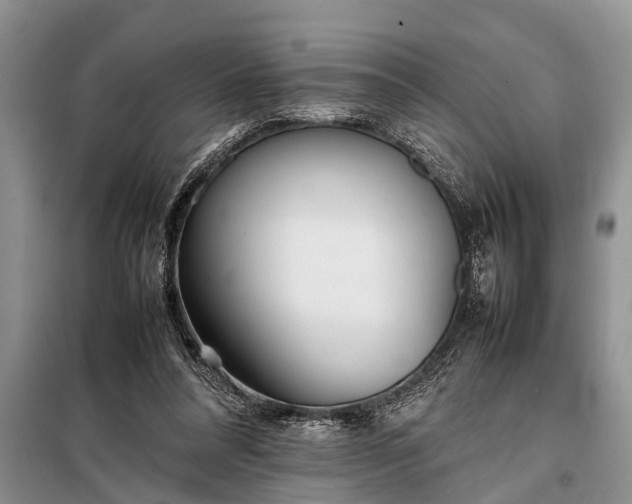 X0000097960304200804071038
