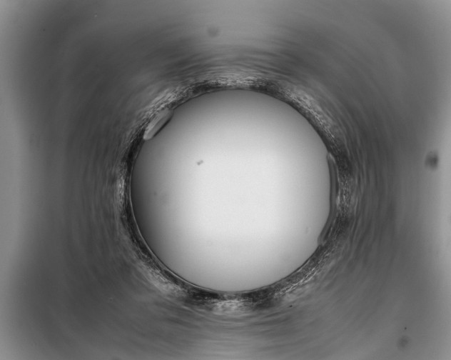 X0000097960309200804071038