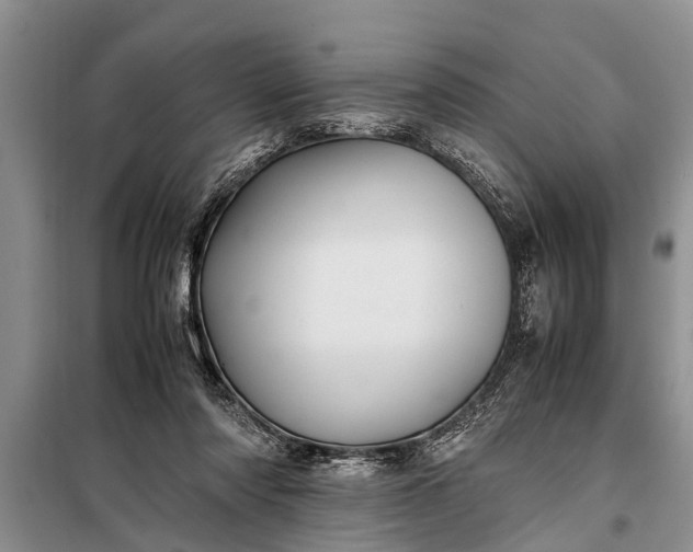 X0000097960310200804071038