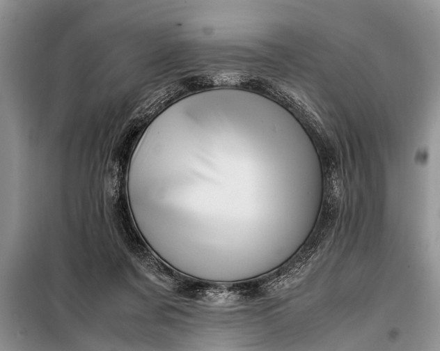 X0000097960311200804071038