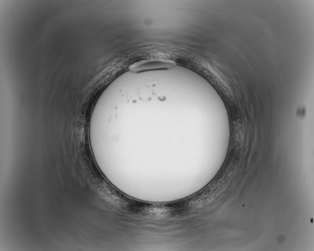X0000097960313200804071038