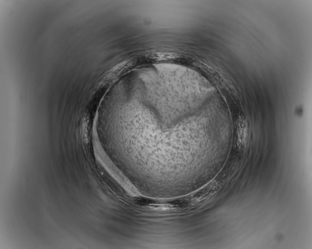 X0000097960316200804071038