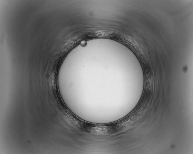 X0000097960317200804071038