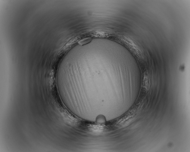 X0000097960318200804071038