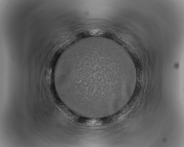 X0000097960319200804071038