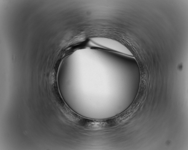 X0000097960323200804071038