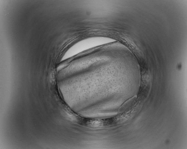 X0000097960325200804071038