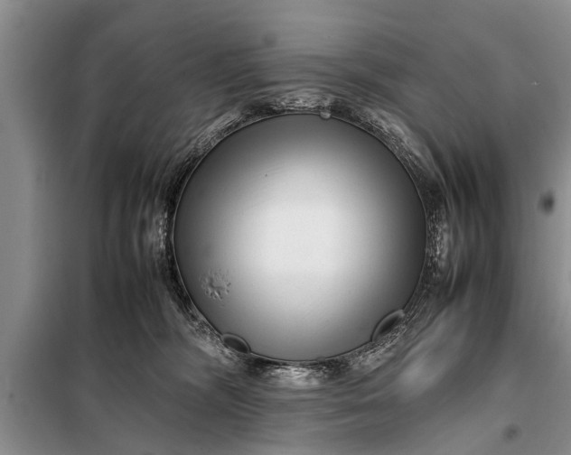 X0000097960326200804071038