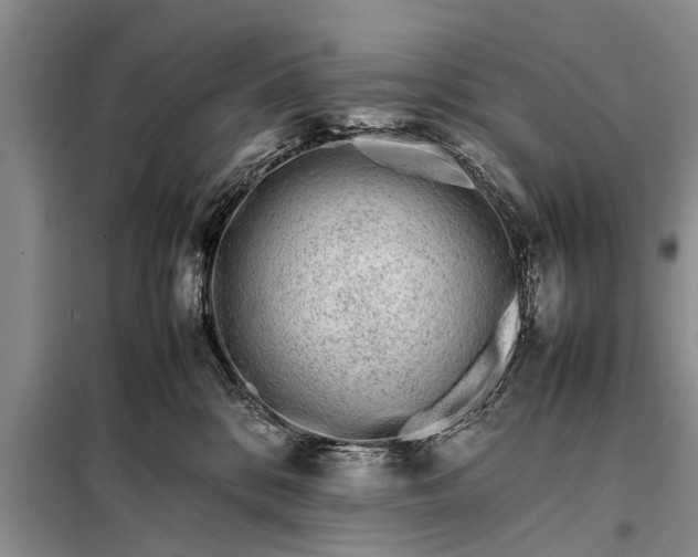 X0000097960328200804071038