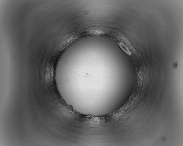 X0000097960330200804071038