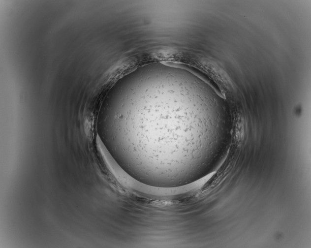 X0000097960332200804071038
