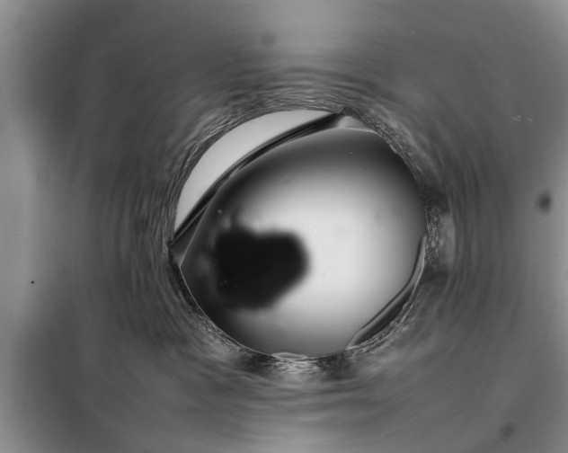 X0000097960333200804071038