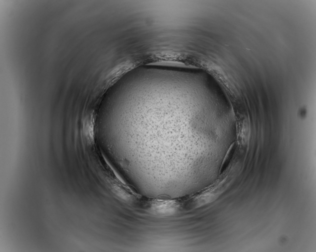 X0000097960334200804071038