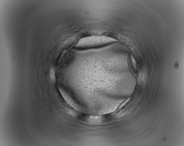 X0000097960335200804071038