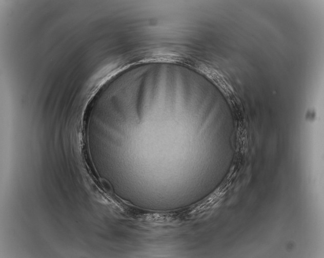 X0000097960338200804071037
