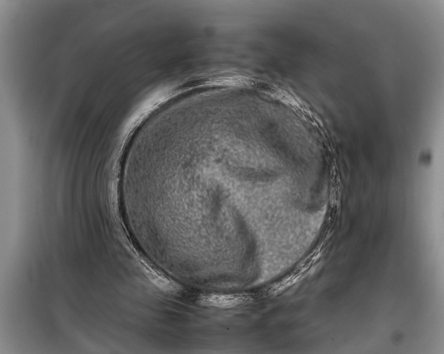 X0000097960341200804071037