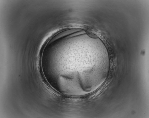 X0000097960342200804071037