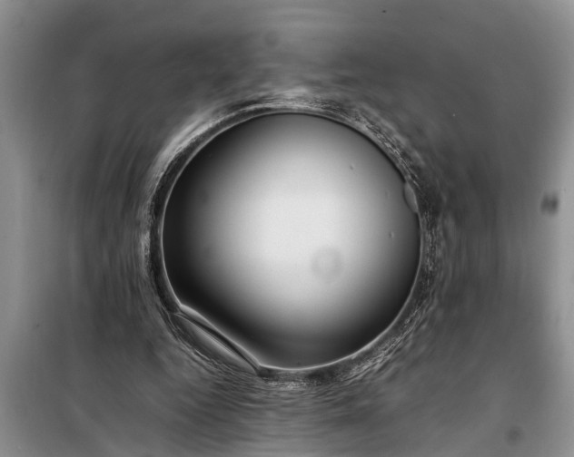 X0000097960344200804071037