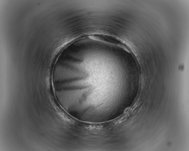 X0000097960345200804071037