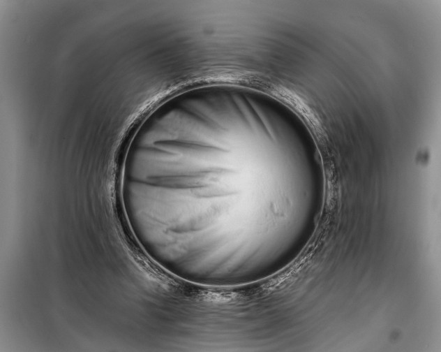 X0000097960346200804071037