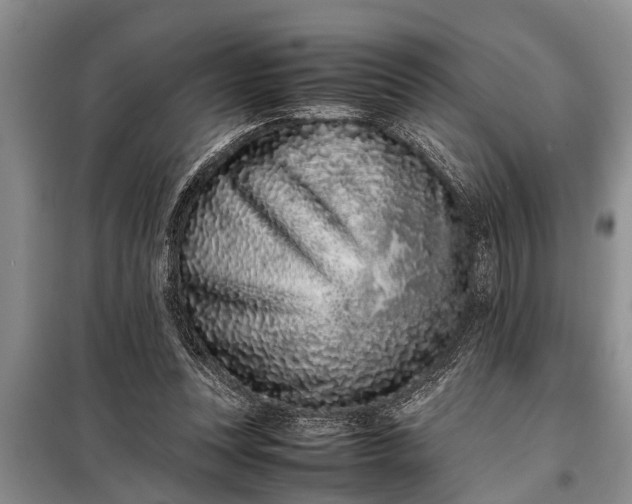 X0000097960351200804071037