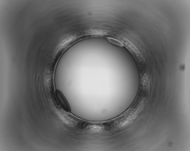 X0000097960352200804071037