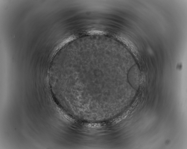 X0000097960353200804071037