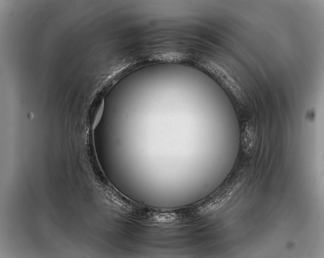 X0000097960355200804071037