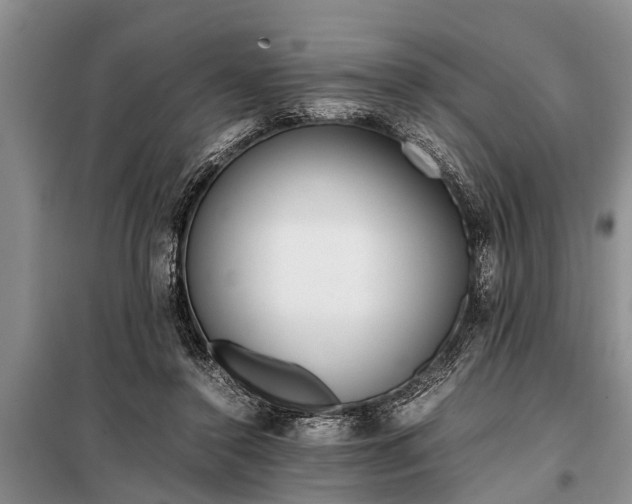 X0000097960356200804071037