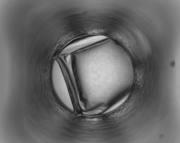 X0000097960357200804071037