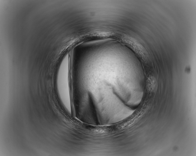 X0000097960358200804071037