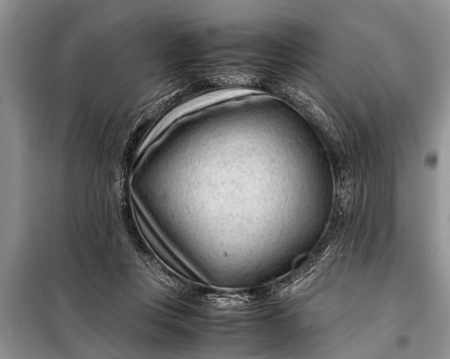 X0000097960359200804071037