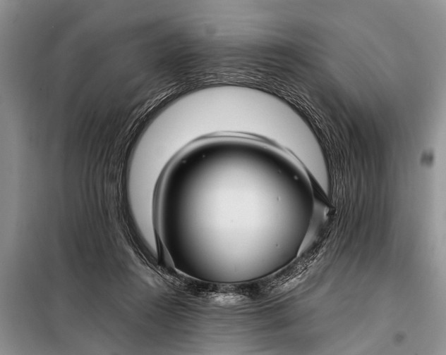 X0000097960360200804071037