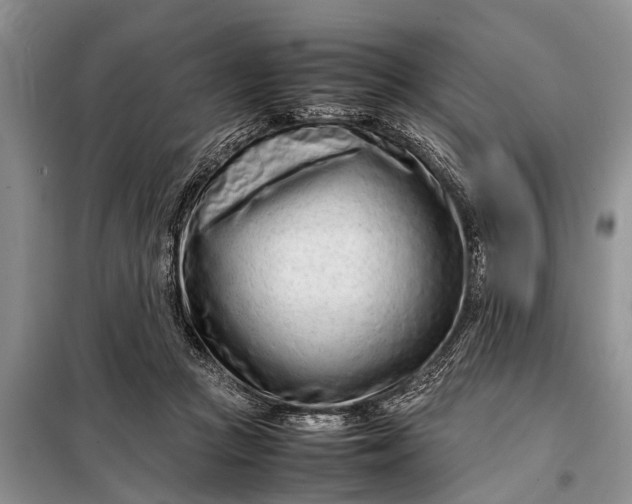 X0000097960361200804071037