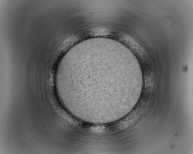 X0000097960362200804071037