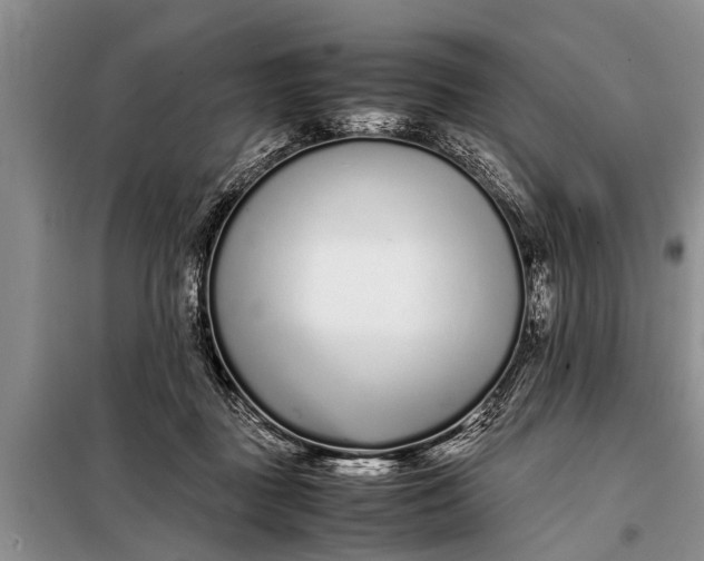 X0000097960363200804071037