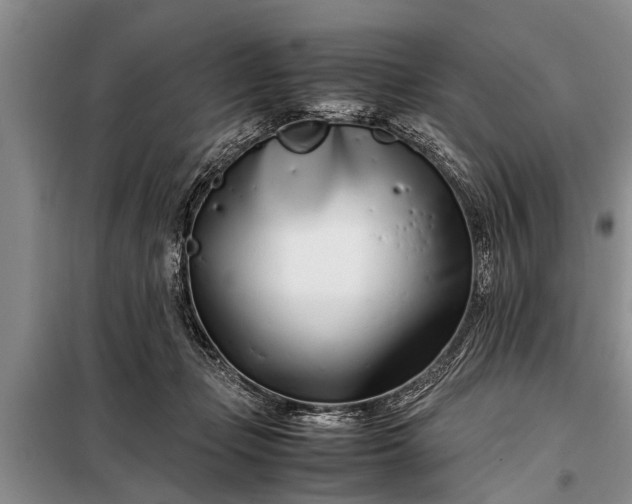 X0000097960365200804071037
