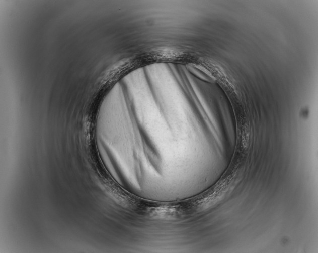 X0000097960366200804071037
