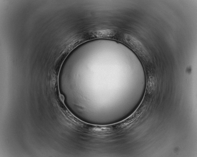 X0000097960367200804071037
