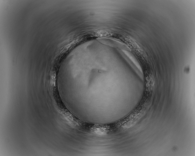 X0000097960368200804071037