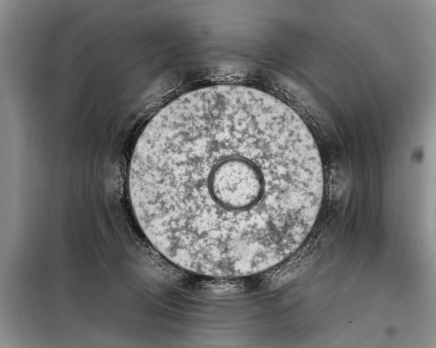 X0000097960370200804071037