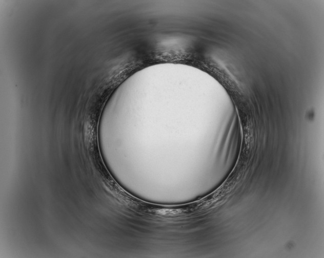 X0000097960371200804071037