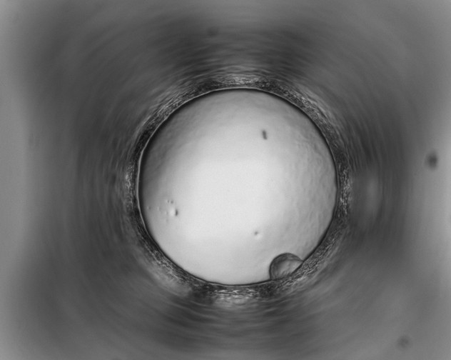 X0000097960373200804071037